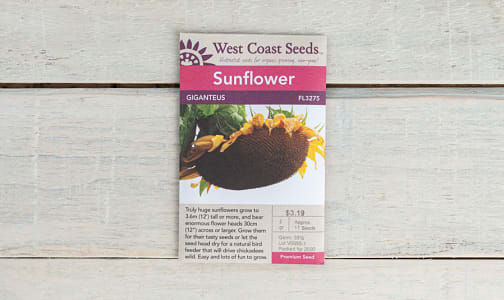  Giganteus  Sunflower Seeds- Code#: BU1809