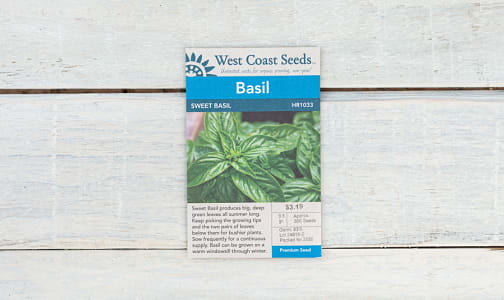 Sweet Basil Seeds- Code#: BU1824
