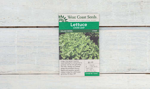  Green Salad Bowl  Lettuce Seeds- Code#: BU1849
