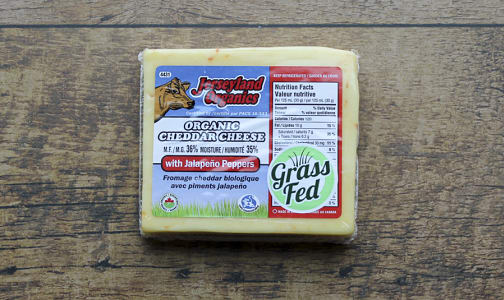Organic Cheddar Cheese with Jalapeno- Code#: DA0079