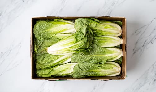 Organic Lettuce, Romaine - CASE- Code#: PR217214NCO