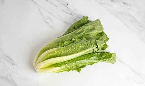 Organic Lettuce, Romaine- Code#: PR100152NCO