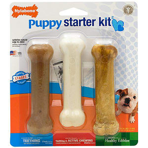 Puppy Bone Starter Kit- Code#: PS001