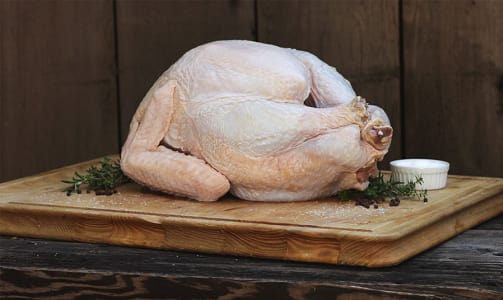 Small - Fresh Local Free Range Turkey - Order now!- Code#: MP1680B