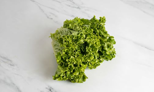 Organic Lettuce, Leaf- Code#: PR100349NCO