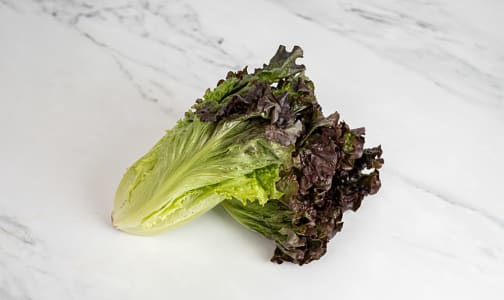 Local Organic Lettuce, Red Leaf - BC/CA- Code#: PR100151LCO