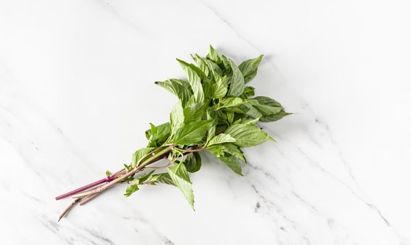 Basil, Thai Bunched