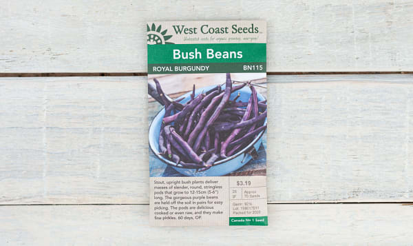  Royal Burgundy  Bush Bean Seeds