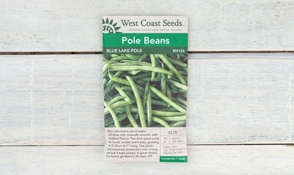  Blue Lake  Pole Bean Seeds