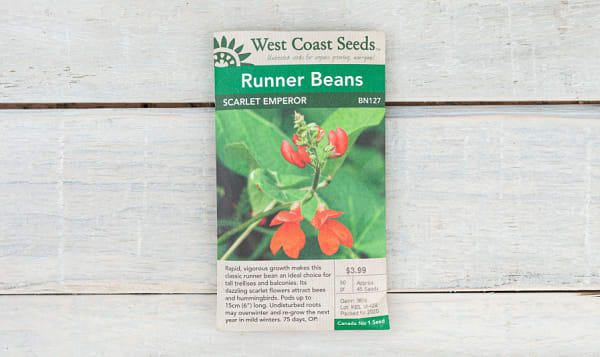  Scarlet Emperor  Runner Bean Seeds
