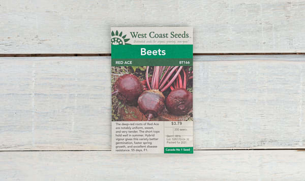 Red Ace  Beet Seeds