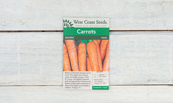  Bolero  Carrot Seeds