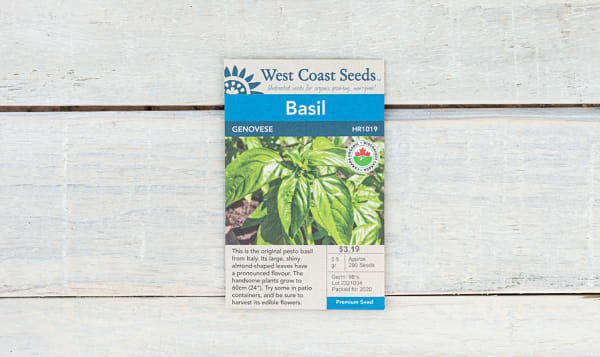 Organic  Genovese  Basil Seeds