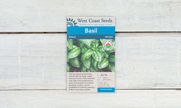 Organic  Dolly  Basil Seeds