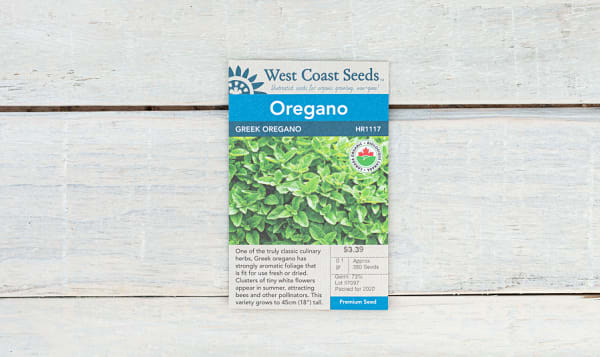 Organic Greek Oregano Seeds