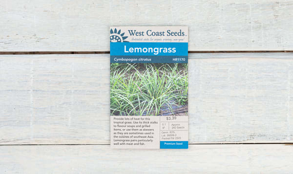 Lemongrass Seeds