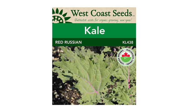  Red Russian  Kale Seeds