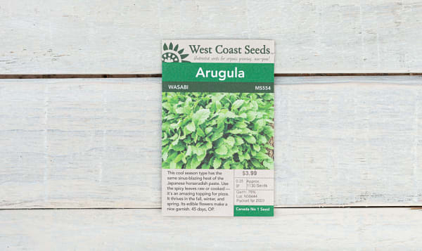  Wasabi  Arugula Seeds
