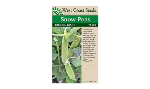  Oregon Giant  Snow Pea Seeds