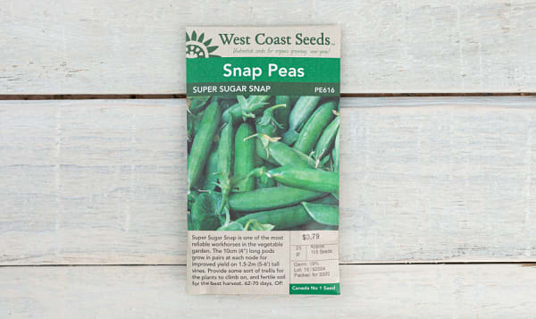  Super Sugar  Pea Seeds (OP)