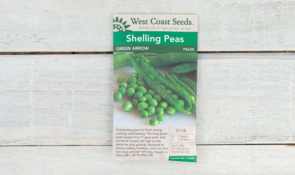  Green Arrow  Shelling Pea Seeds (OP)