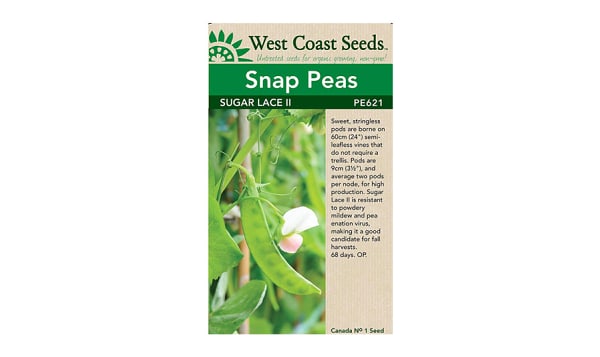  Sugar Lace II  Snap Pea Seeds