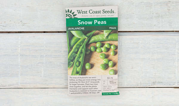  Avalanche  Snow Pea Seeds