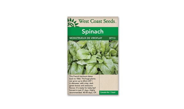  Monstrueux de Viroflay  Spinach Seeds