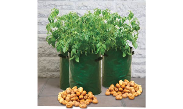 3 Pack Potato Grow Bags