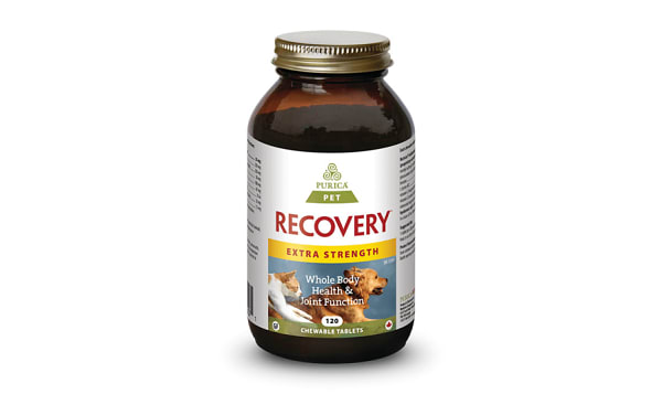 Pet Recovery Extra-Strength Chewable