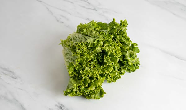 Organic Lettuce, Green Leaf